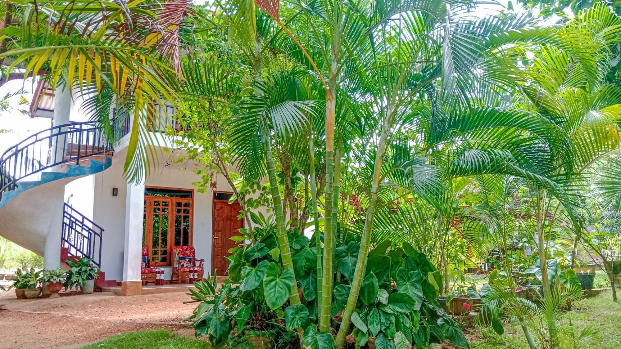 Gimhana Homestay Сигирия Екстериор снимка